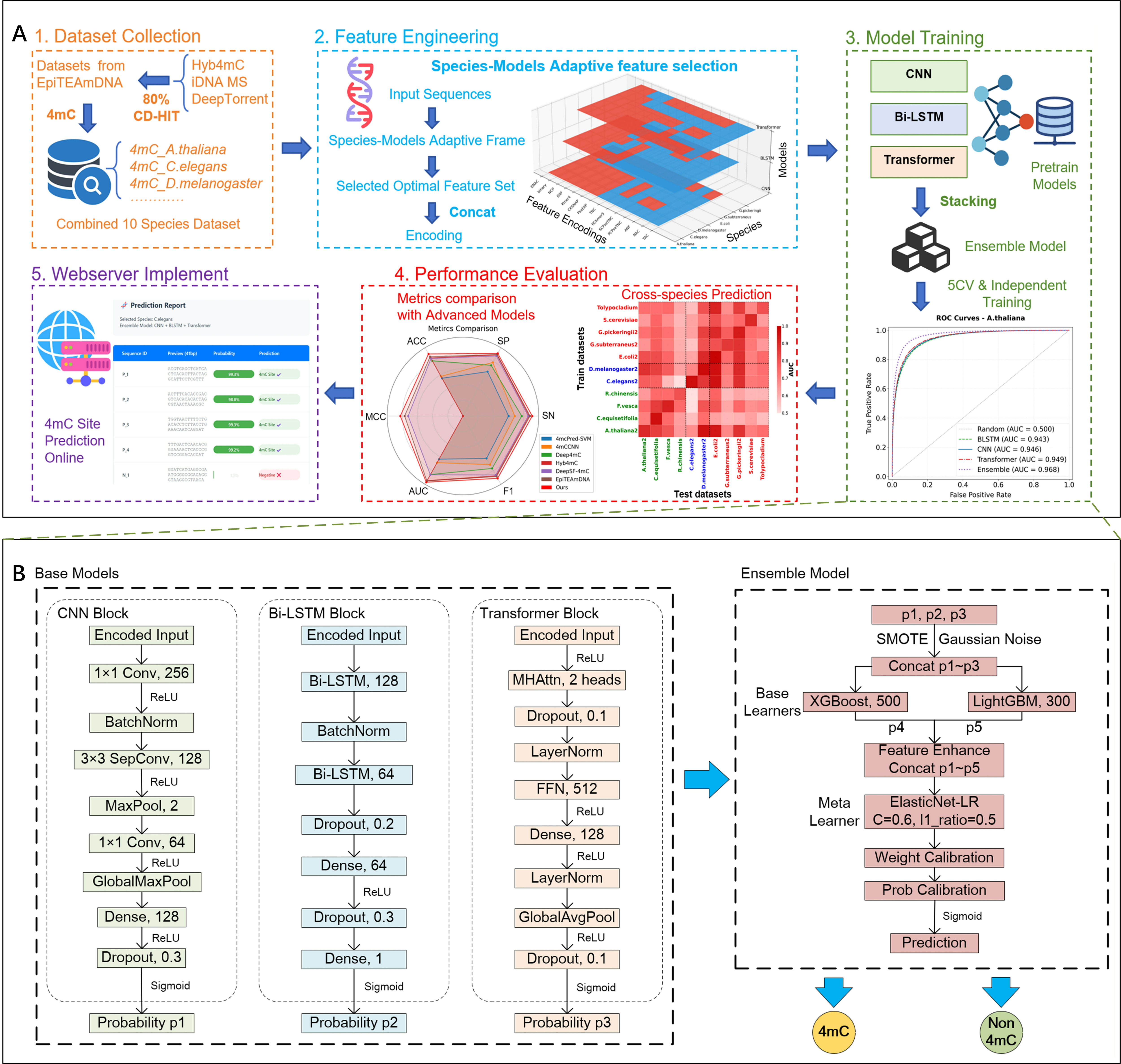 Model Architecture Diagram